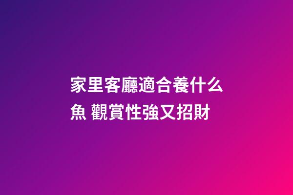 家里客廳適合養什么魚 觀賞性強又招財
